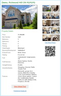 Real Estate eflyer demo